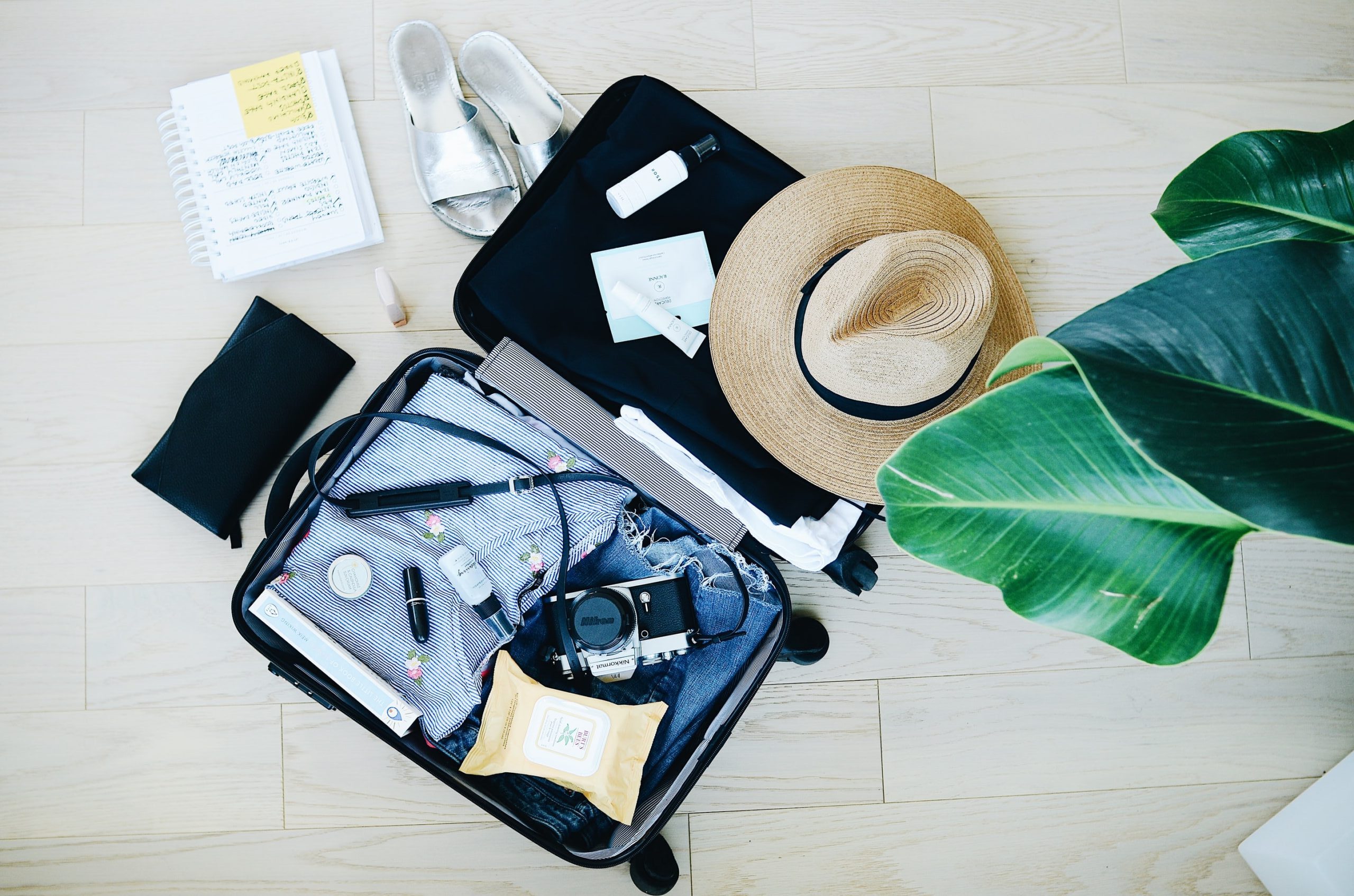 Travel luggage essentials