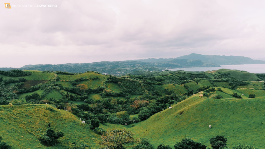 Vayang Rolling Hills