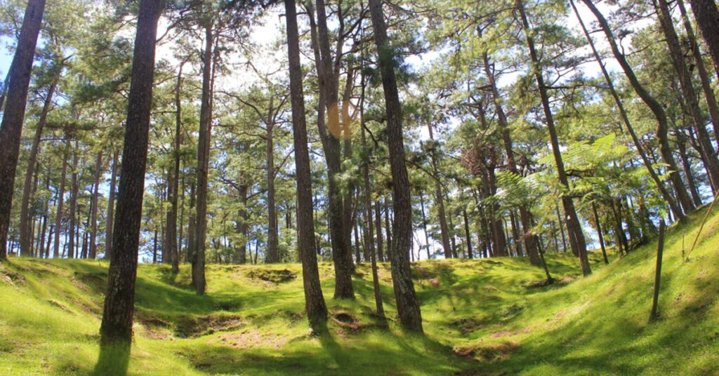 a spot in camp john hay