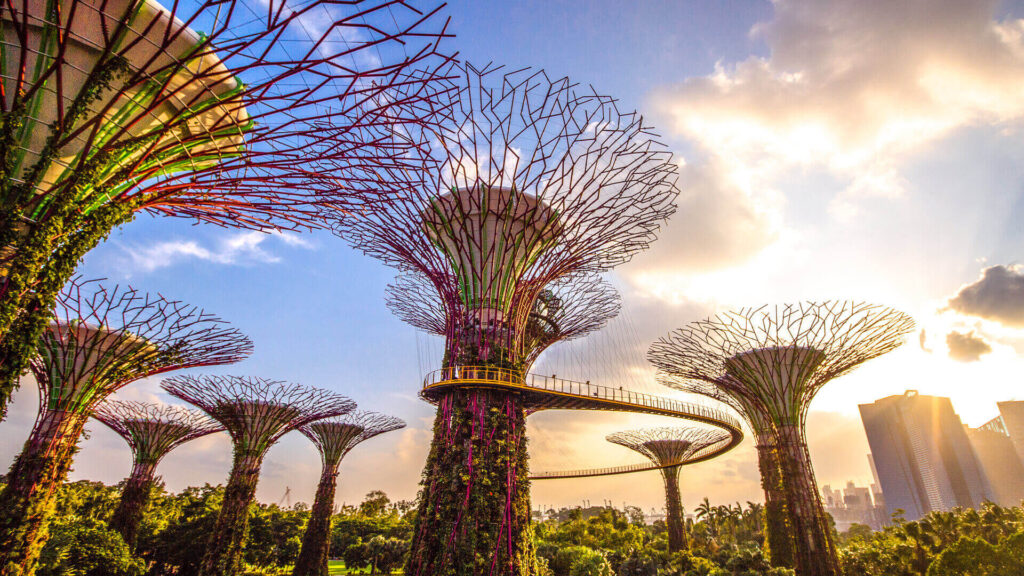 Singapre gardens by the bay