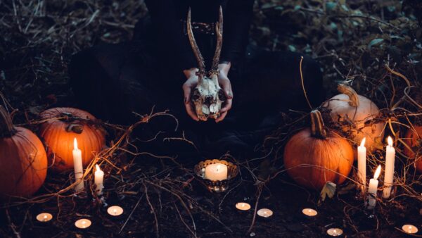 person holding cattle skull surrounded by squash and candles